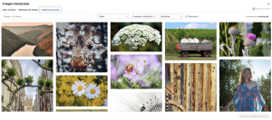 Entradas en WordPress: Crear, Editar y Publicar 35 Entradas en WordPress: Crear, Editar y Publicar 35