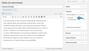 Entradas en WordPress: Crear, Editar y Publicar 41 Entradas en WordPress: Crear, Editar y Publicar 41